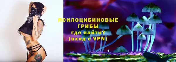 трава Сосновоборск