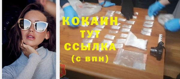 стаф Сосновка