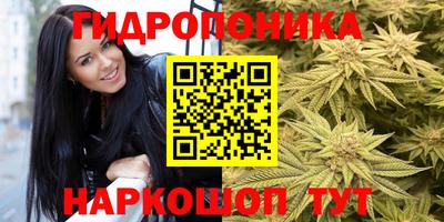 гидра Заволжье