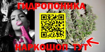 гидра Заволжье