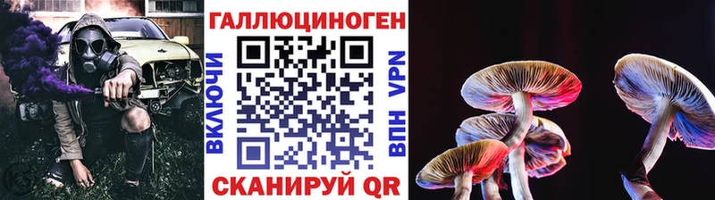 цены наркотик  Курск  Галлюциногенные грибы GOLDEN TEACHER 