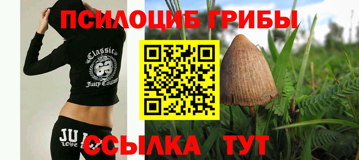 Галлюциногенные грибы GOLDEN TEACHER Курск